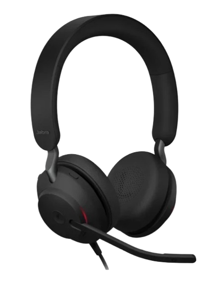 ყურსასმენი JABRA 24189-999-799