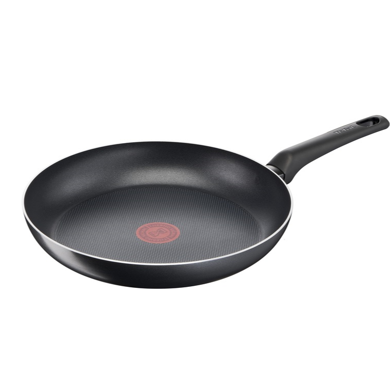 Pan TEFAL Pan 24cm B5560453